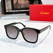 Okify Cartier CT0589SA Sunglasses - 5