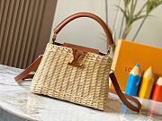Okify Louis Vuitton Capucines BB Raffia Bag Brown 27x17.3x9cm - 1