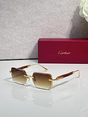 Okify Cartier CT02093O Sunglasses - 6
