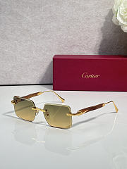 Okify Cartier CT02093O Sunglasses - 4
