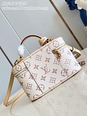 Okify Louis Vuitton Vanity Chain Pouch Bag M29782 19x11x6cm - 5